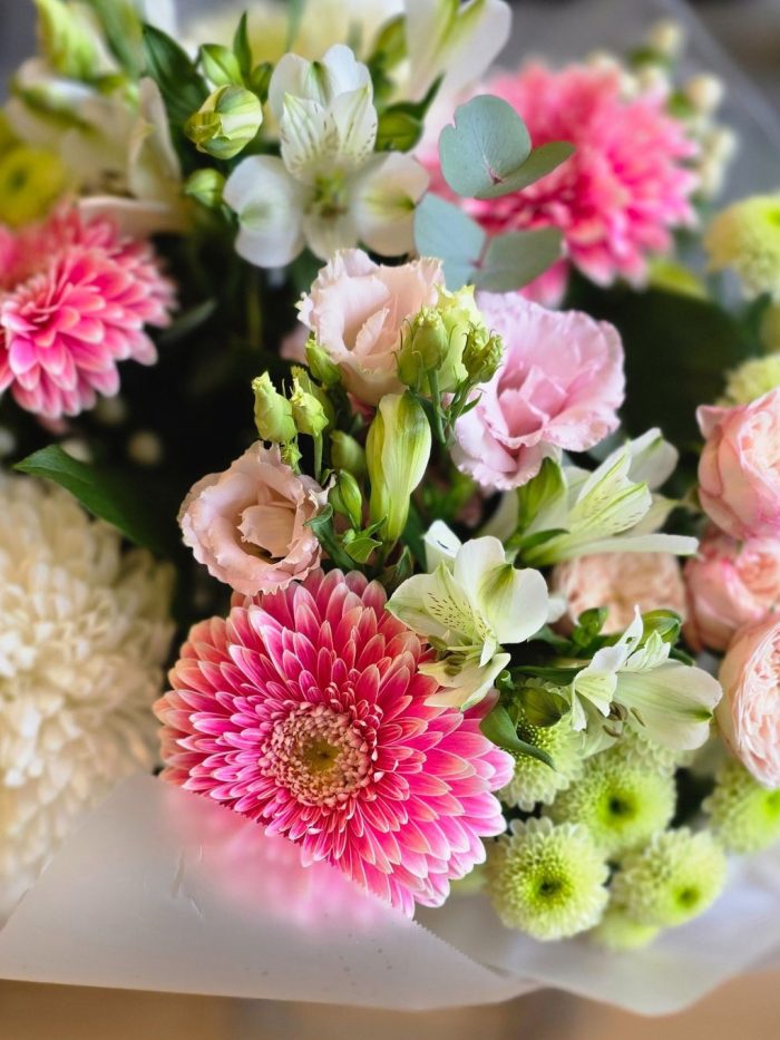 Popping Pinks