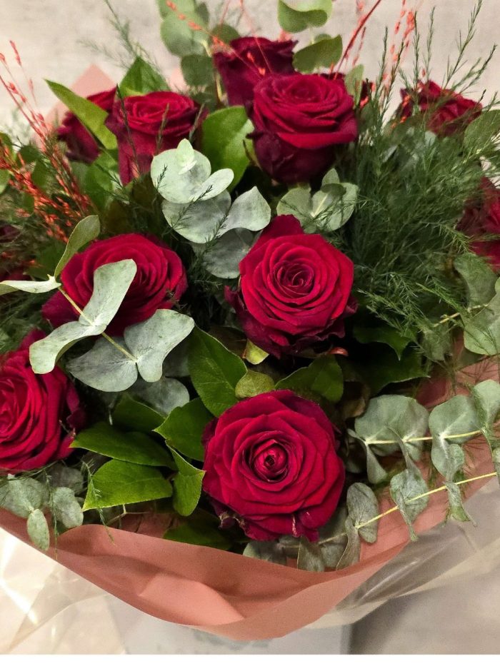 Classic Red Roses